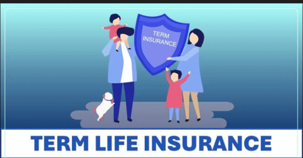 Term Life Insurance 